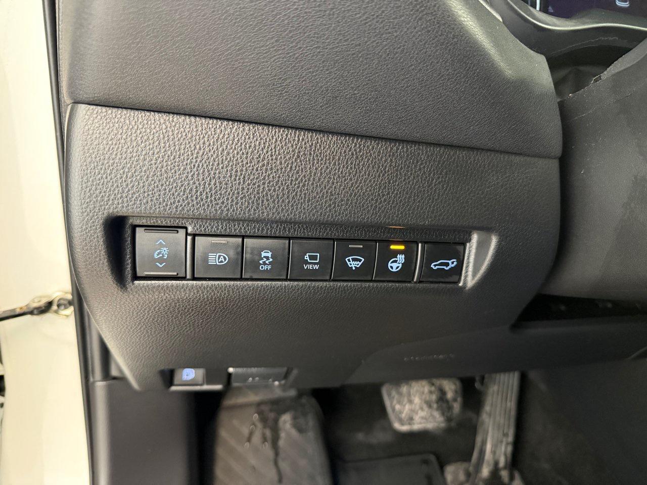 2021 Toyota Venza  Photo