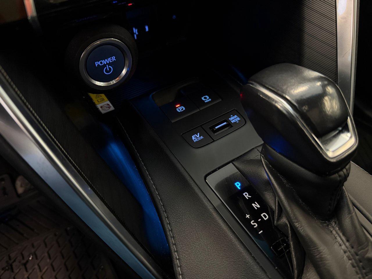 2021 Toyota Venza  Photo