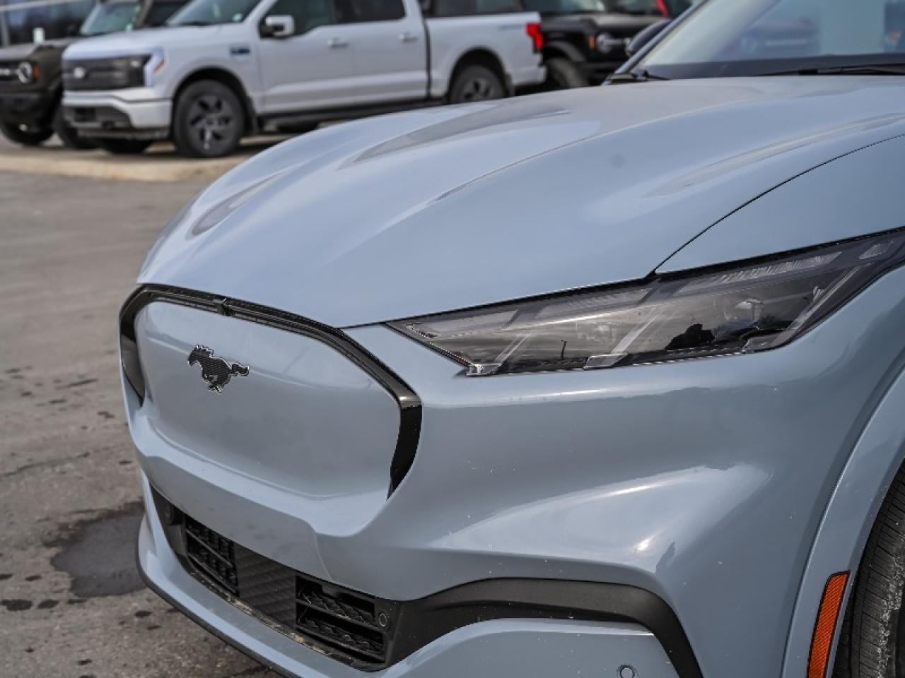 2026 Ford Mustang Mach-E Premium Photo