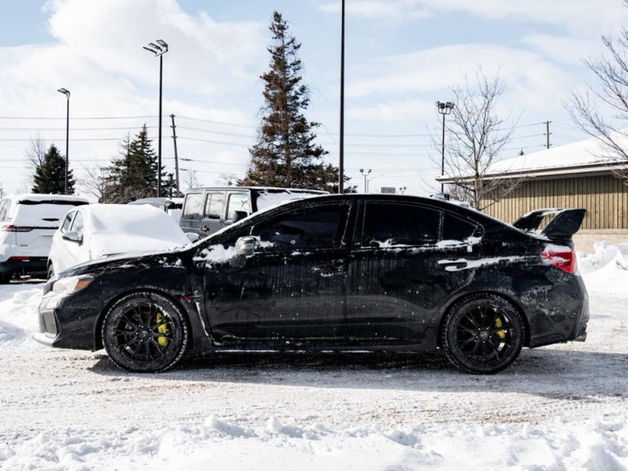 2018 Subaru WRX STI Photo