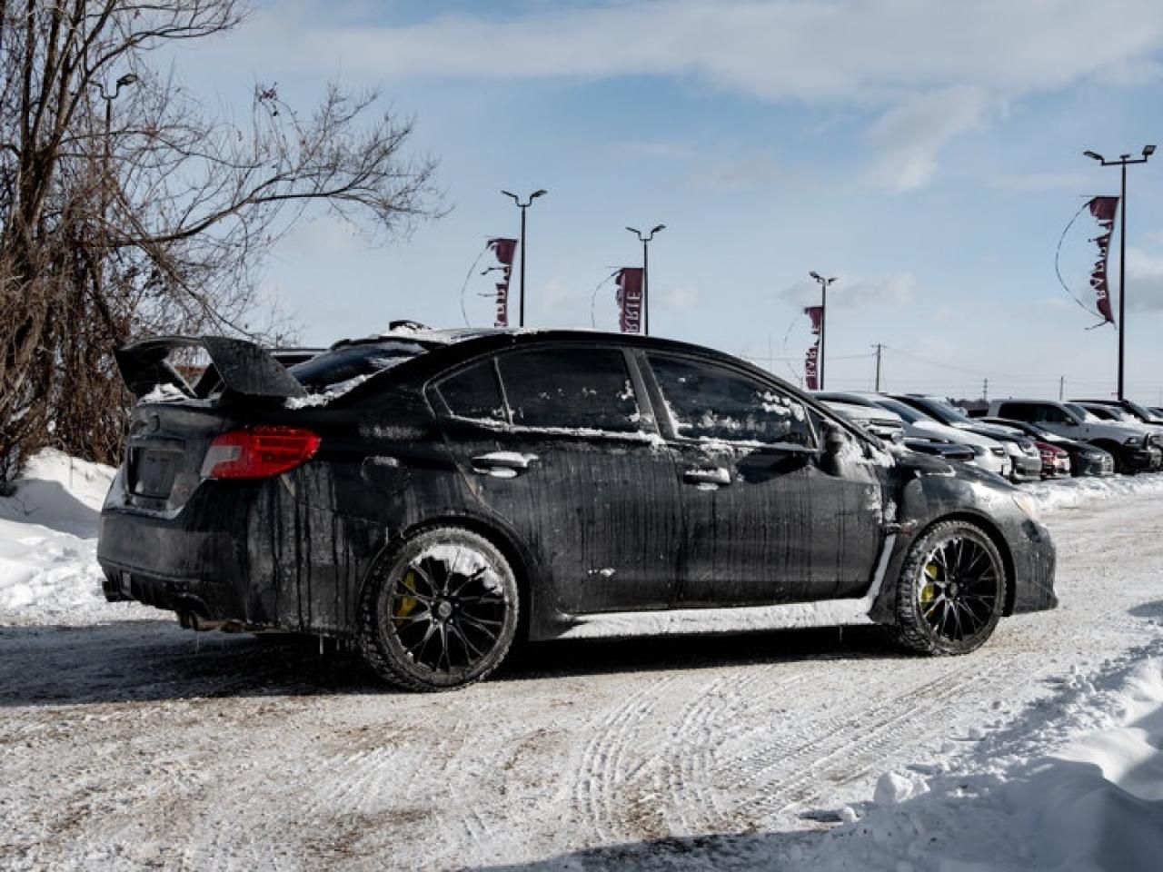 2018 Subaru WRX STI Photo