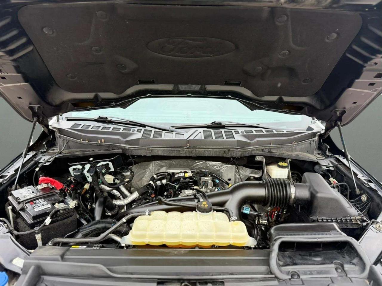 2021 Ford F-150 XLT Photo