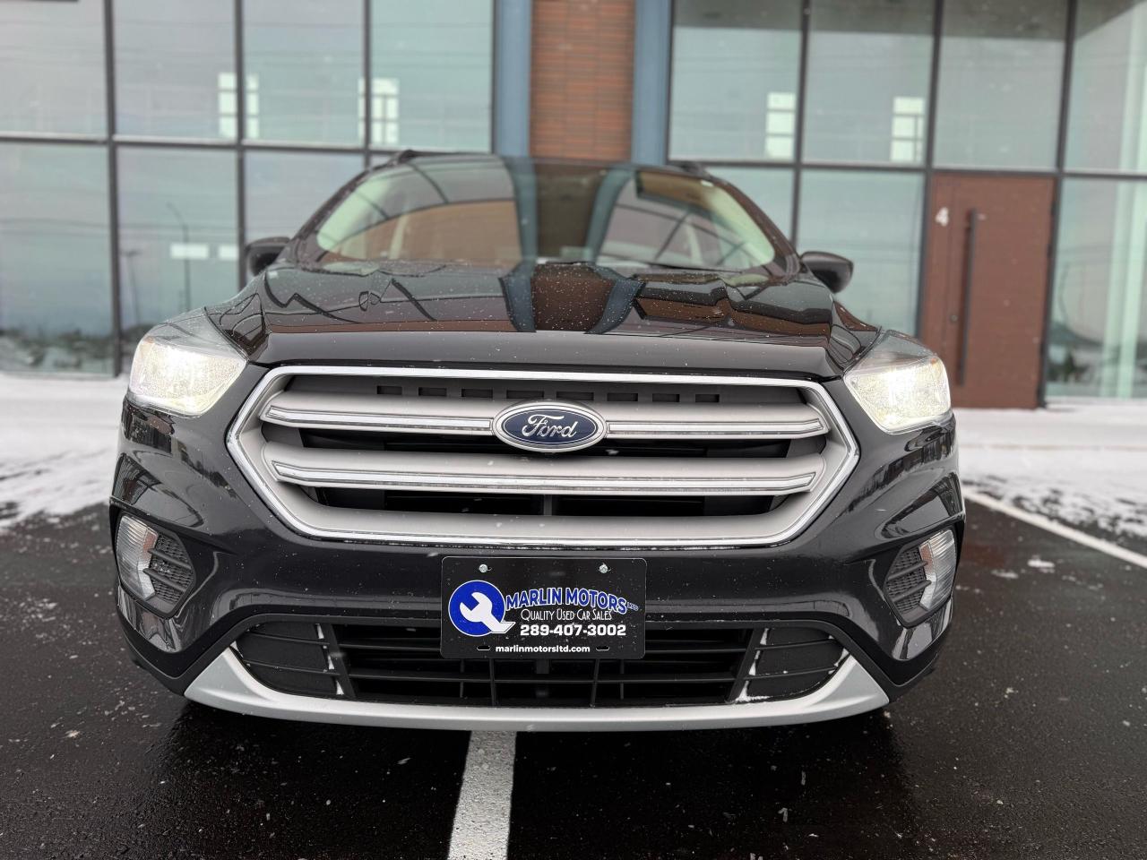 2019 Ford Escape SE Photo