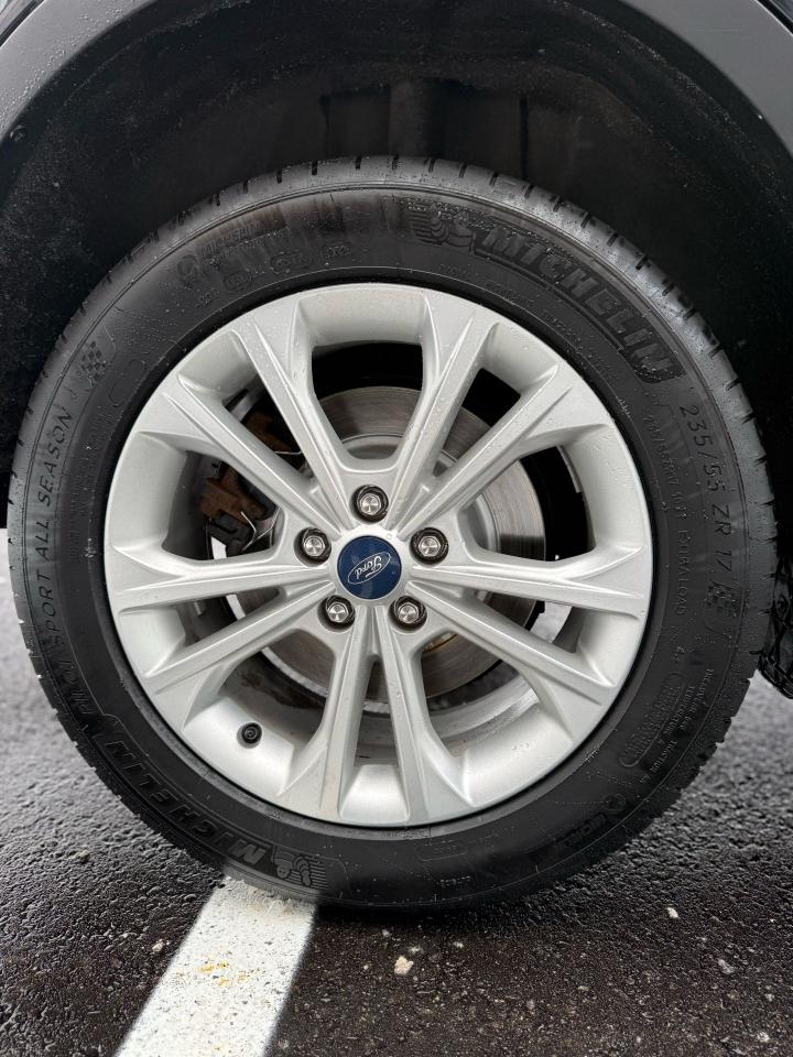 2019 Ford Escape SE Photo