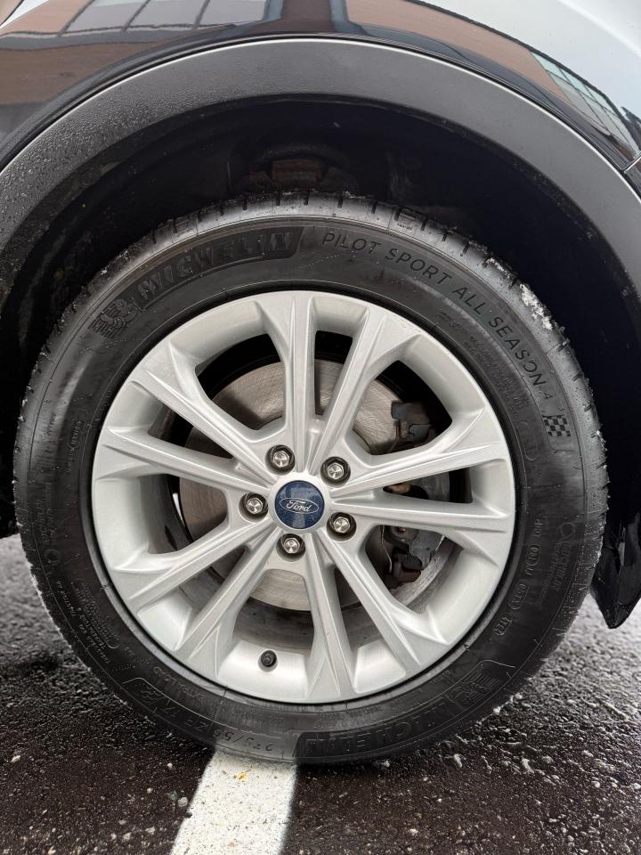 2019 Ford Escape SE Photo