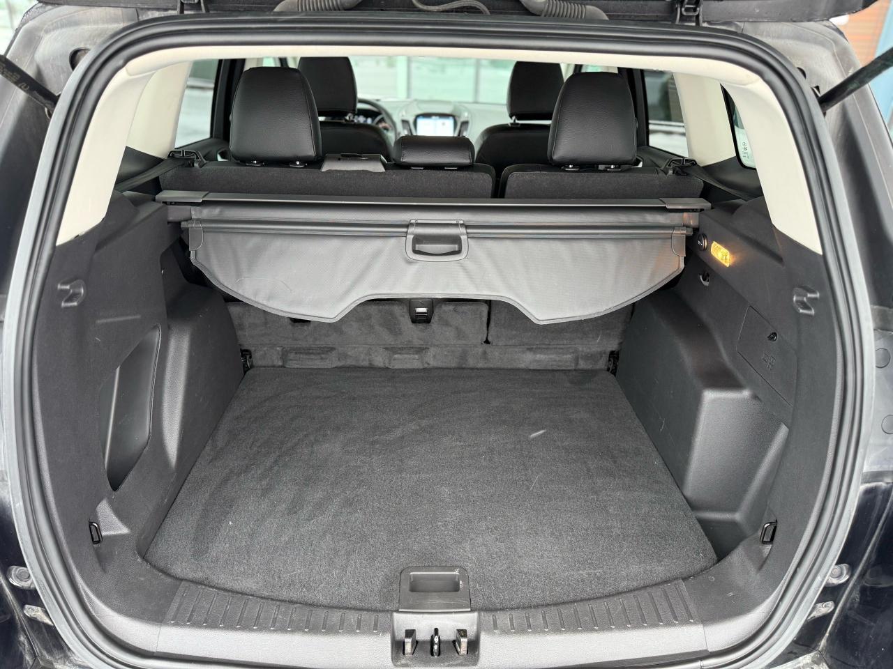 2019 Ford Escape SE Photo