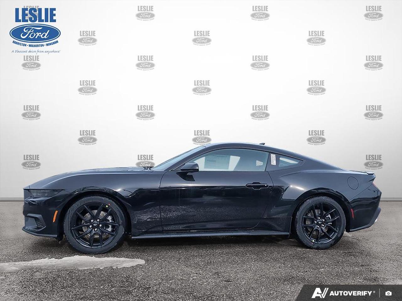 2026 Ford Mustang Fastback Photo