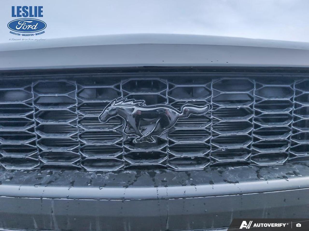 2026 Ford Mustang Fastback Photo