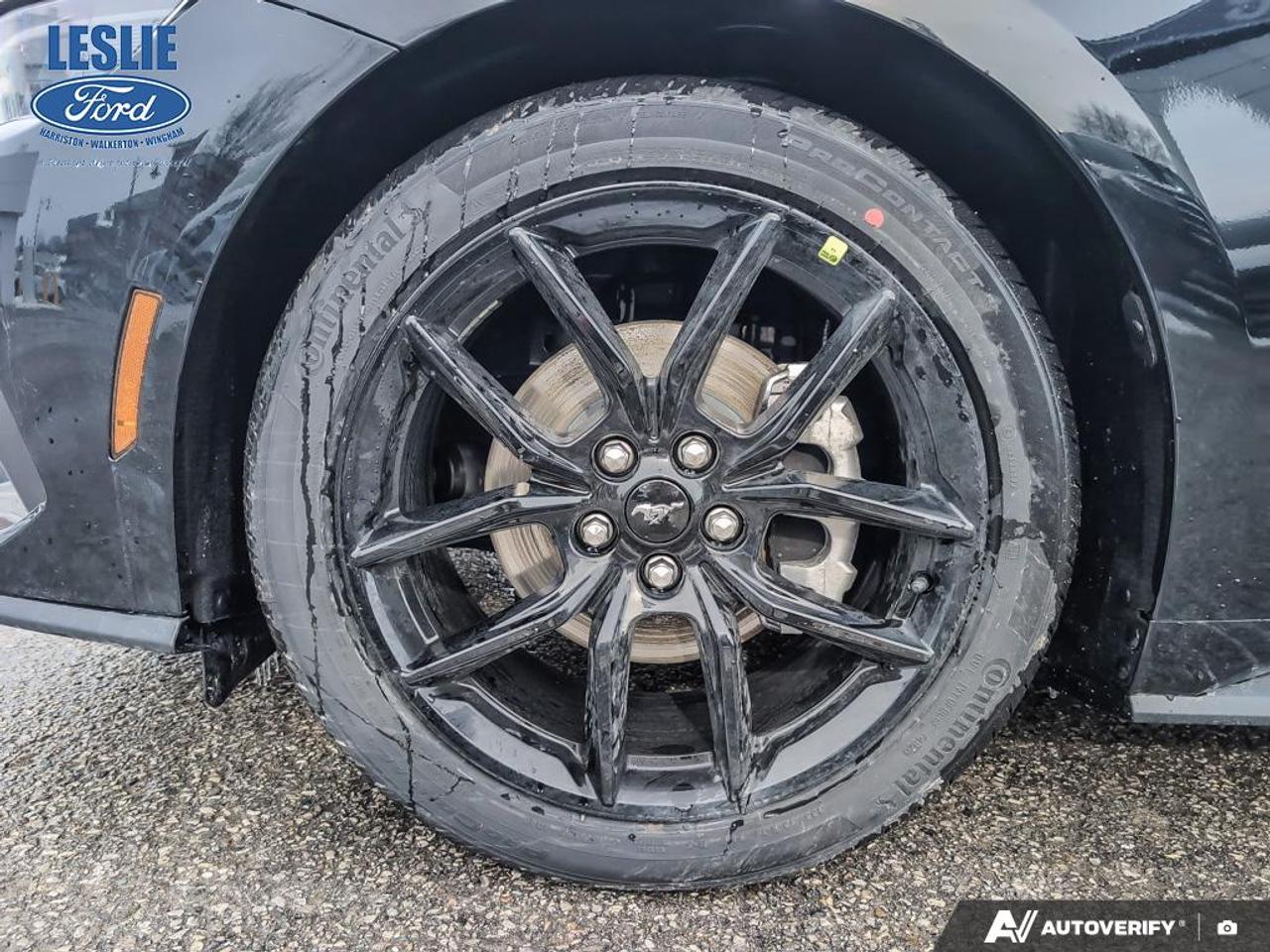 2026 Ford Mustang Fastback Photo