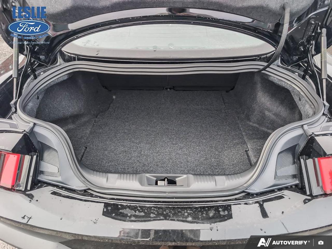 2026 Ford Mustang Fastback Photo