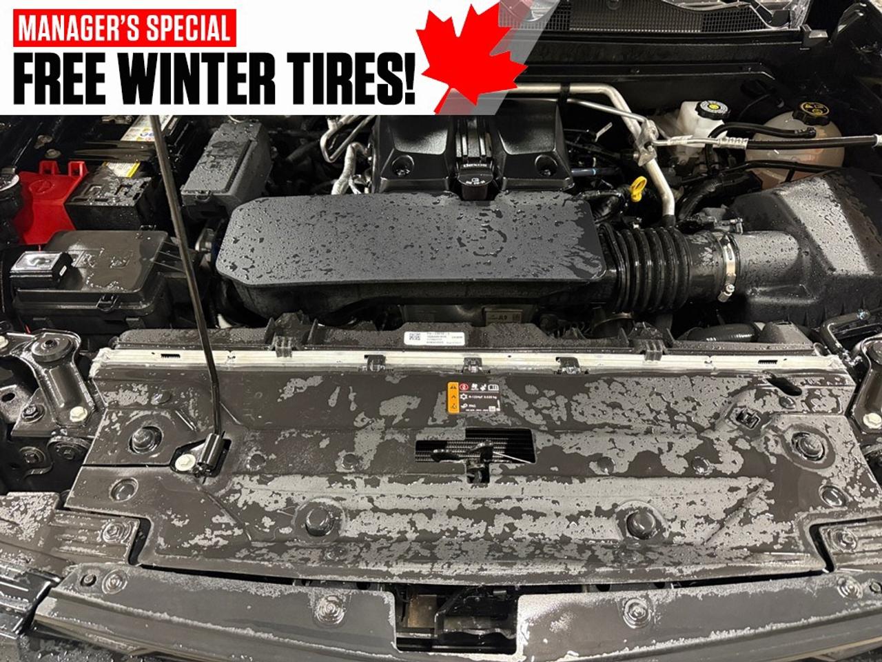 2023 Chevrolet Colorado 4WD Crew Cab Z71 Photo