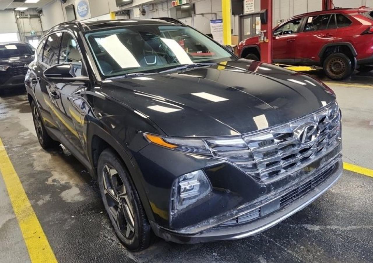 2022 Hyundai Tucson Plug-In Hybrid Ultimate | 360 Camera | Leather | Sunroof | Cooled + Heated Seats | Heated Wheel | Nav | and More ! Photo0