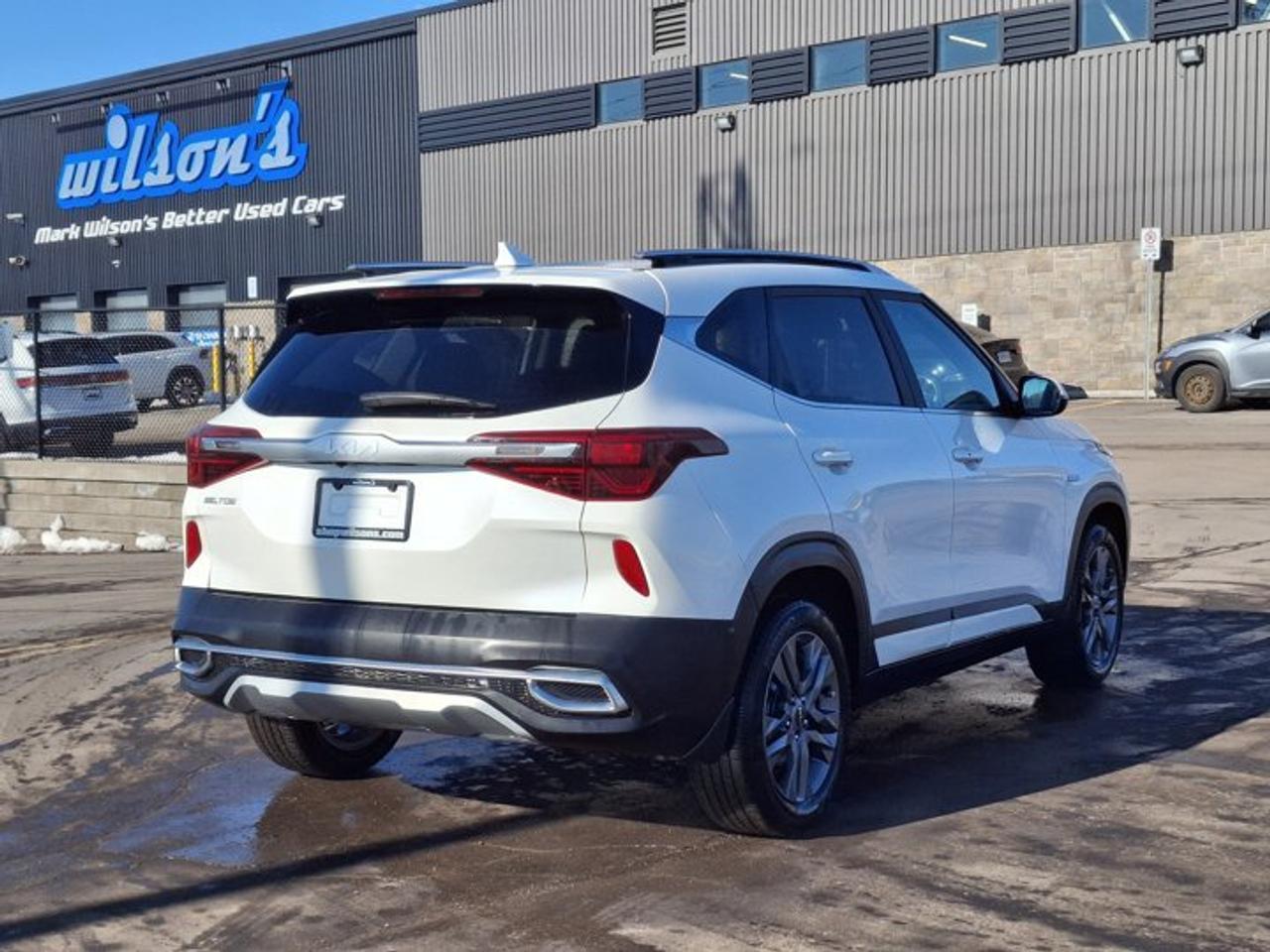 2023 Kia Seltos EX AWD | Leather | Sunroof | Heated Wheel + Seats | CarPlay + Android | Rear Camera | and More ! Photo