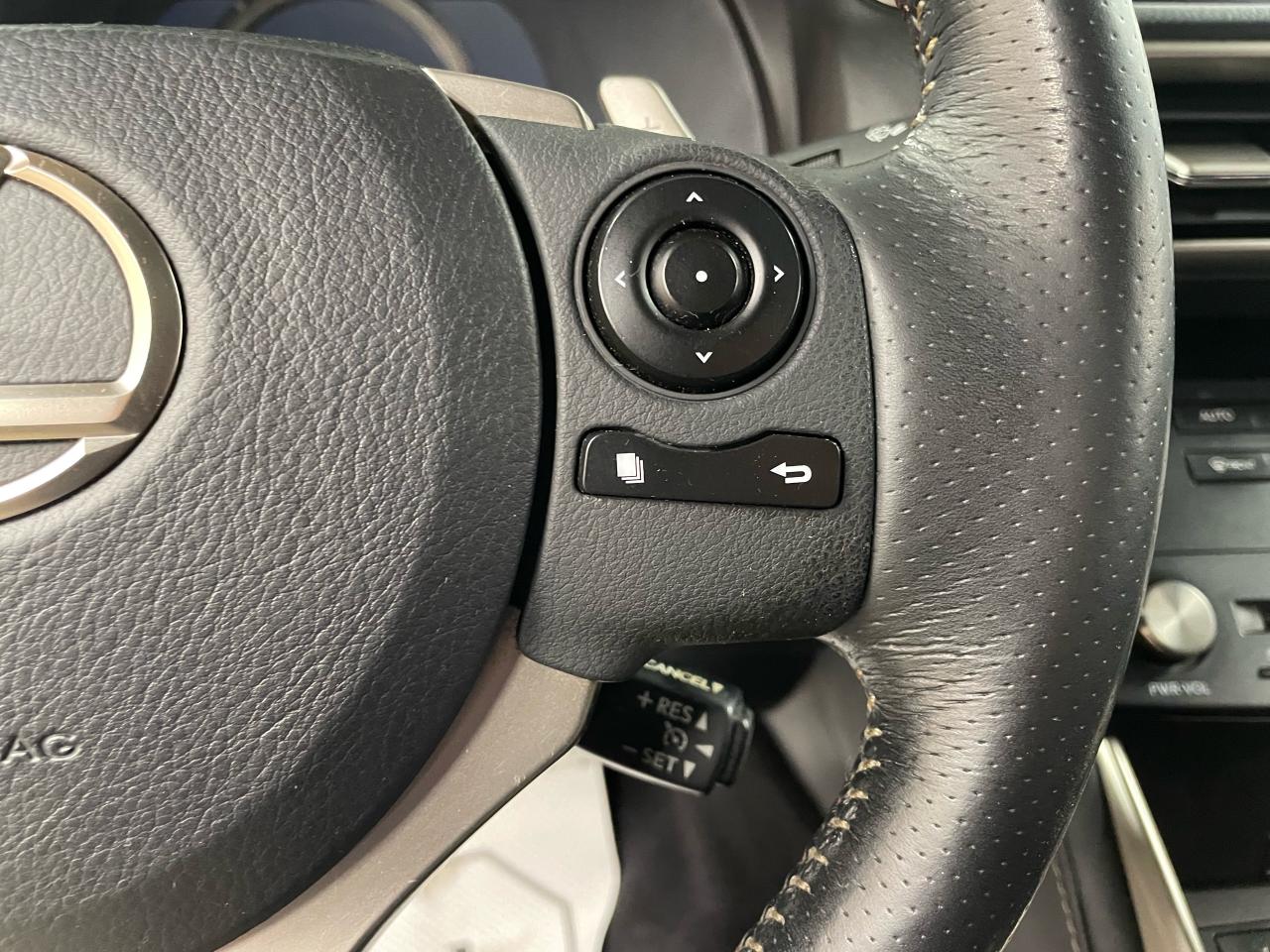 2015 Lexus IS 250 F-SPORT Photo