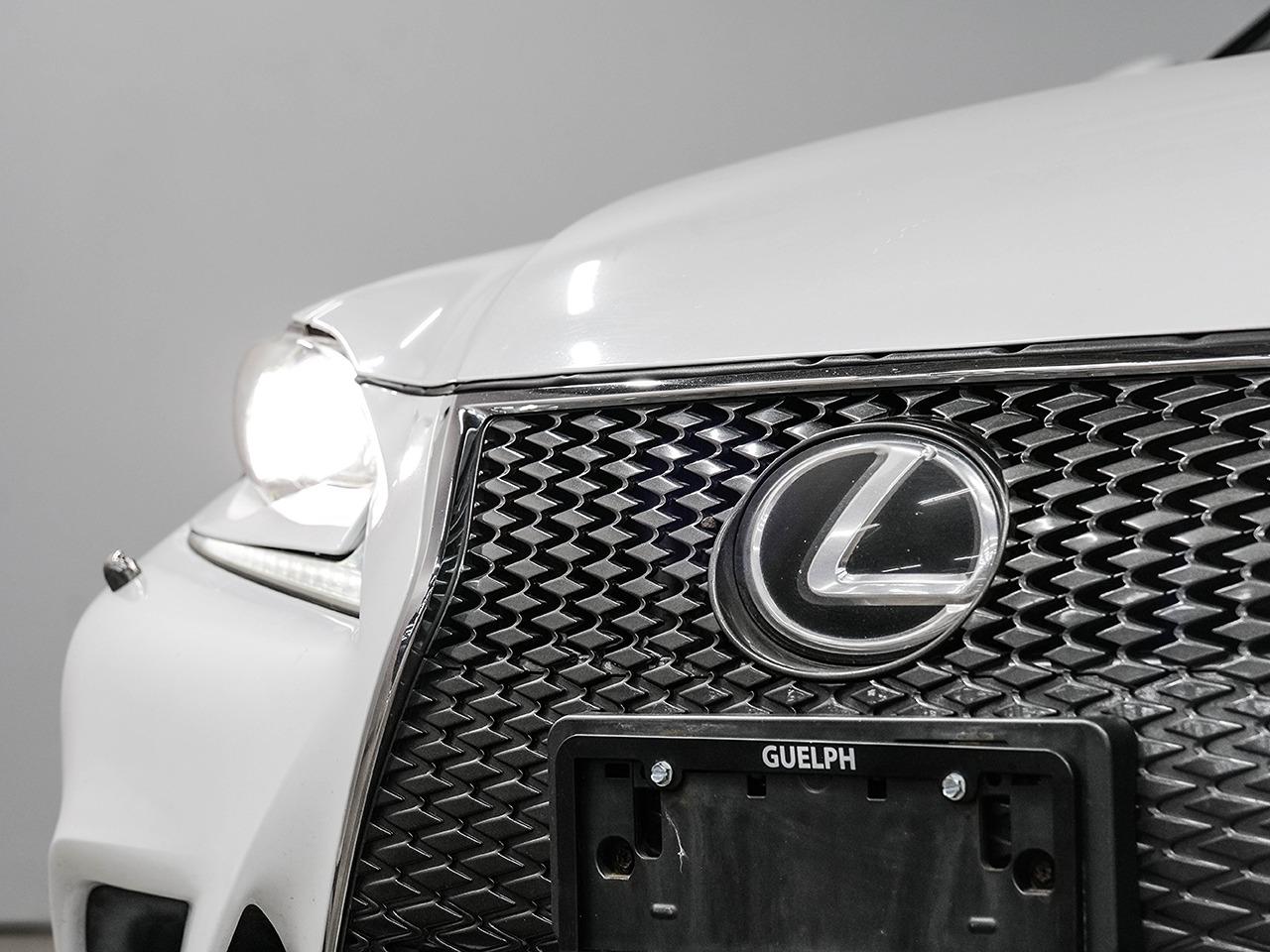 2015 Lexus IS 250 F-SPORT Photo9