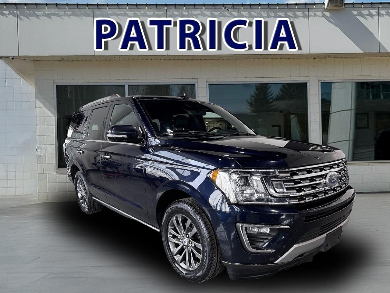 2021 Ford Expedition Limited  Photo0