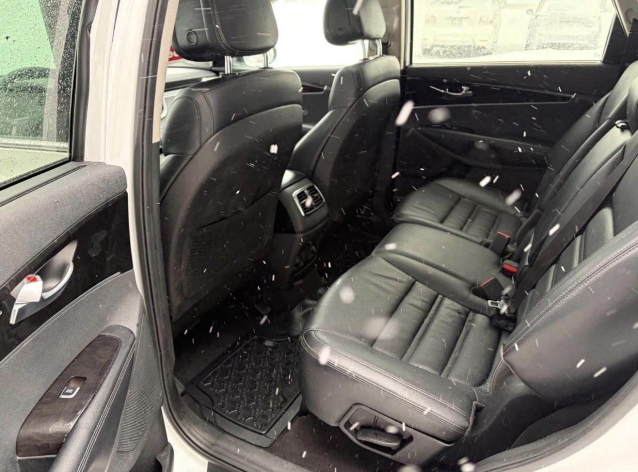 2016 Kia Sorento EX V6 AWD - Photo #8