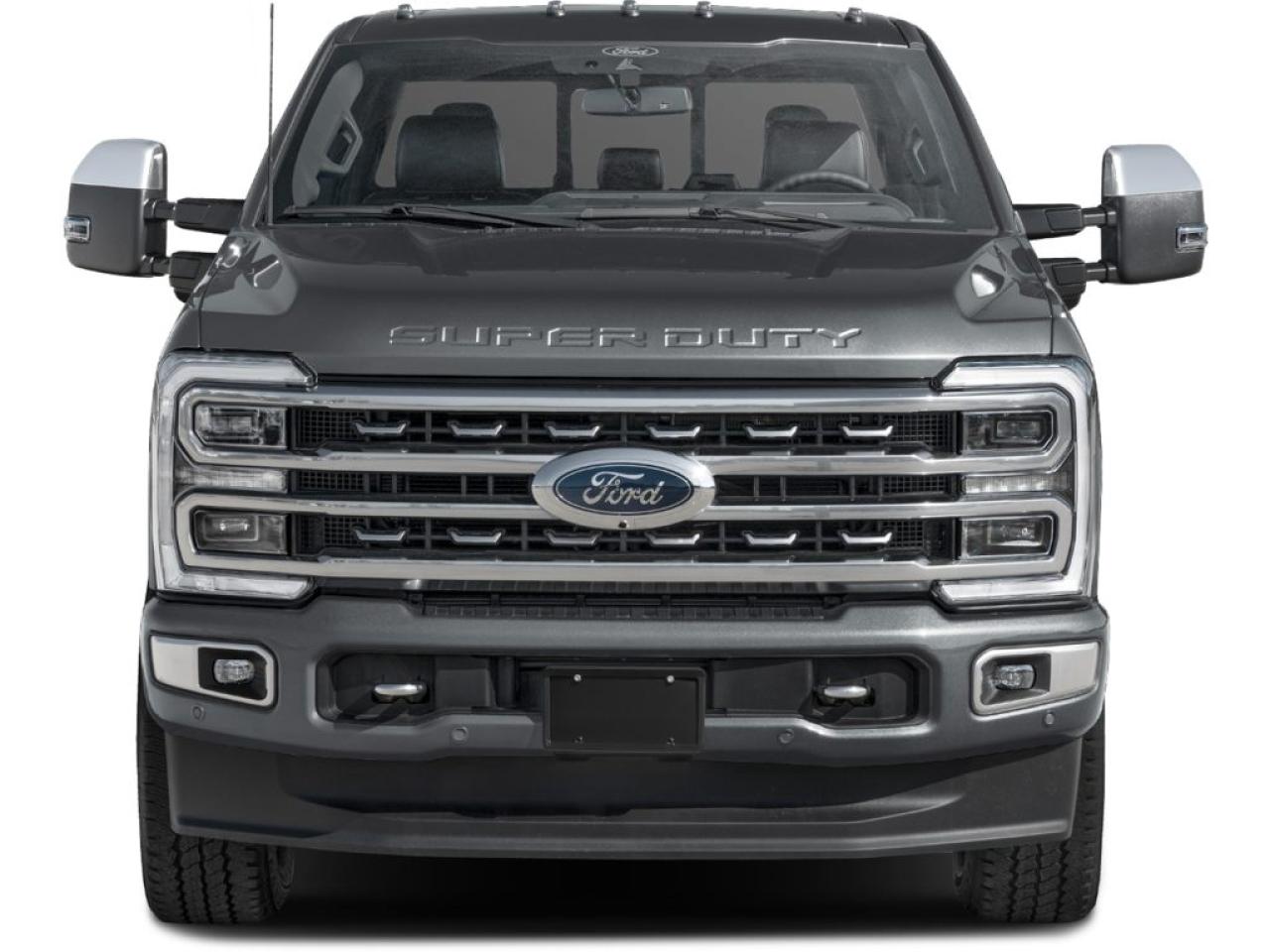 2025 Ford F-250 Platinum TREMOR HIGH OUTPUT DIESEL 250 PLATINUM Photo4