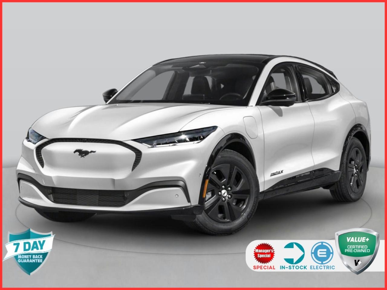 Used 2022 Ford Mustang Mach-E Premium AWD LEATHER APPEARENCE PKG! CERTIFIED for sale in Hamilton, ON