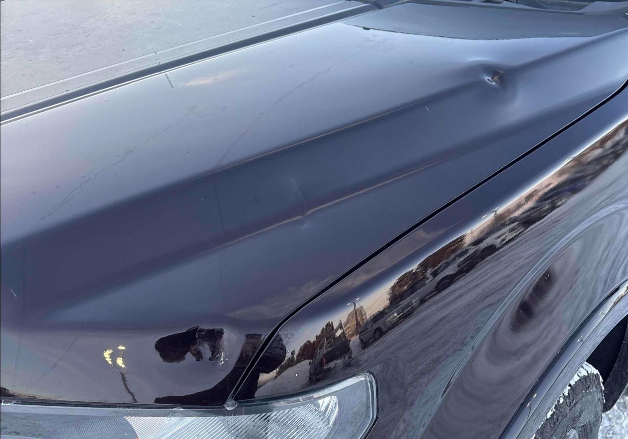 2018 Ford F-150 XLT 302A | SPECIAL EDITION | NAV | SPORT | TOW Photo