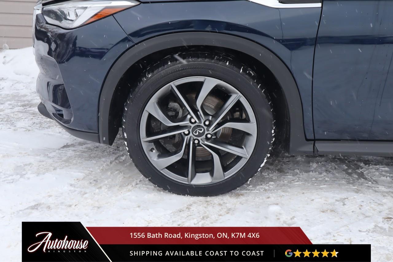 2021 Infiniti QX50 Sensory NAVIGATION - PANORAMIC MOONROOF Photo
