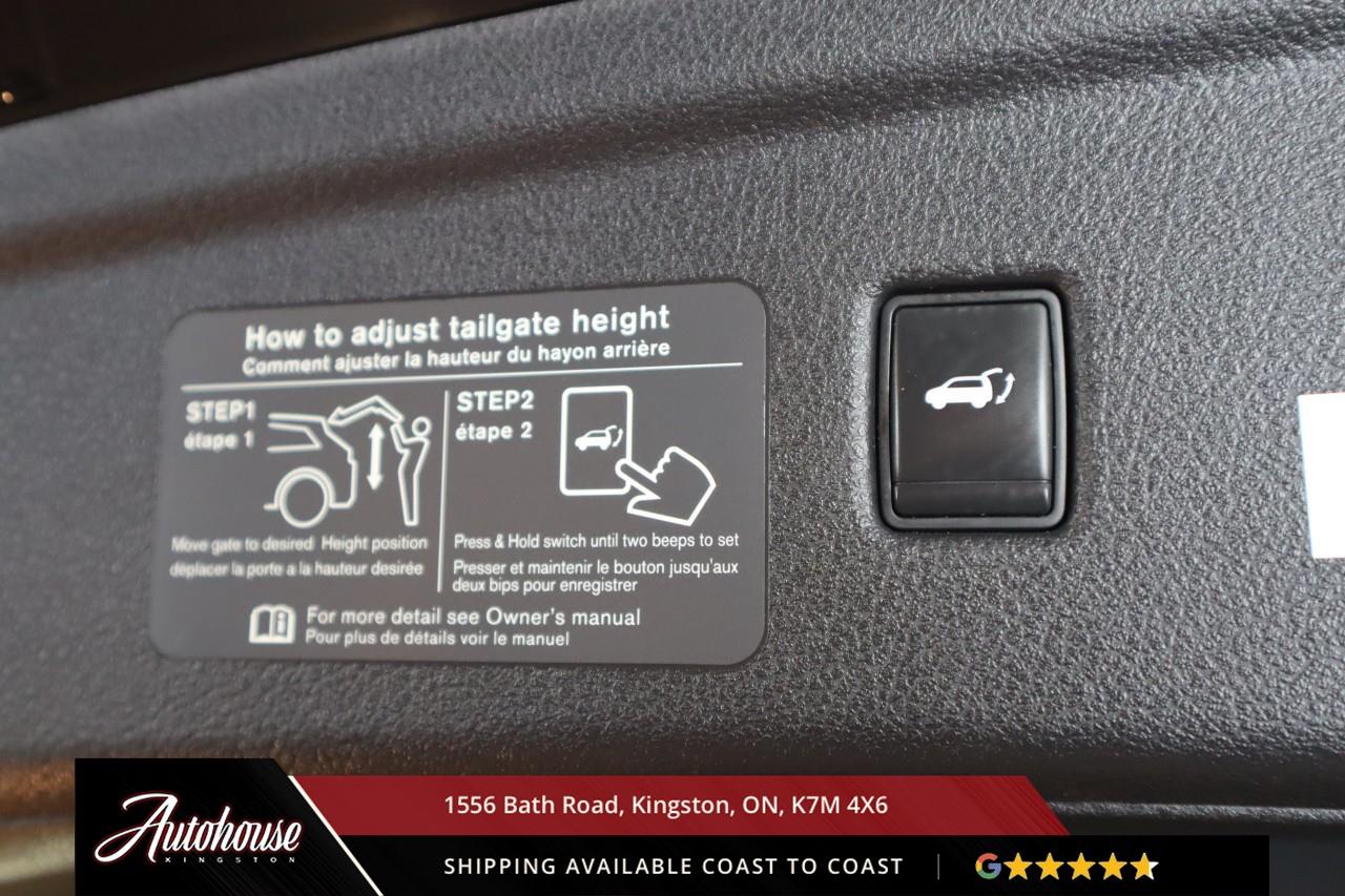 2021 Infiniti QX50 Sensory NAVIGATION - PANORAMIC MOONROOF Photo