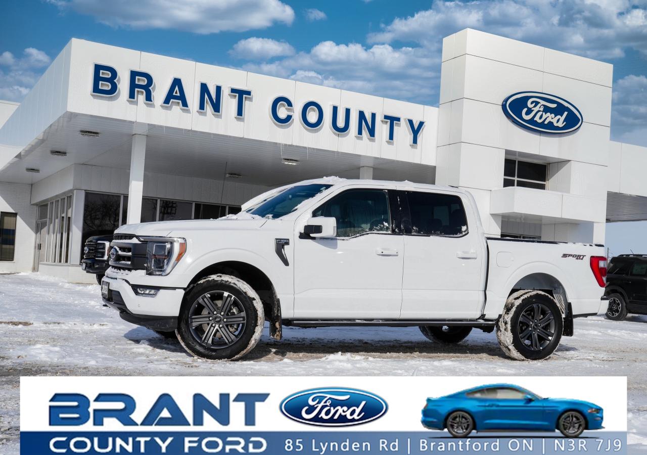 2023 Ford F-150 LEATHER | PANO ROOF | SIDE STEPS | LOW KM Photo0