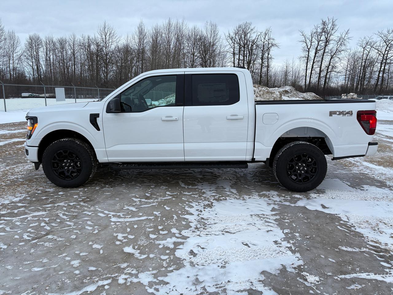 2025 Ford F-150 XLT Photo2