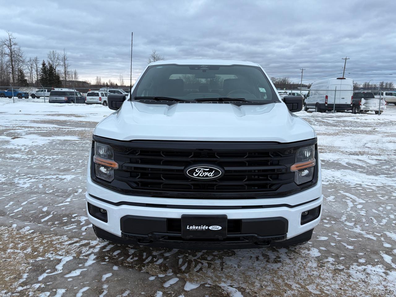 2025 Ford F-150 XLT Photo1