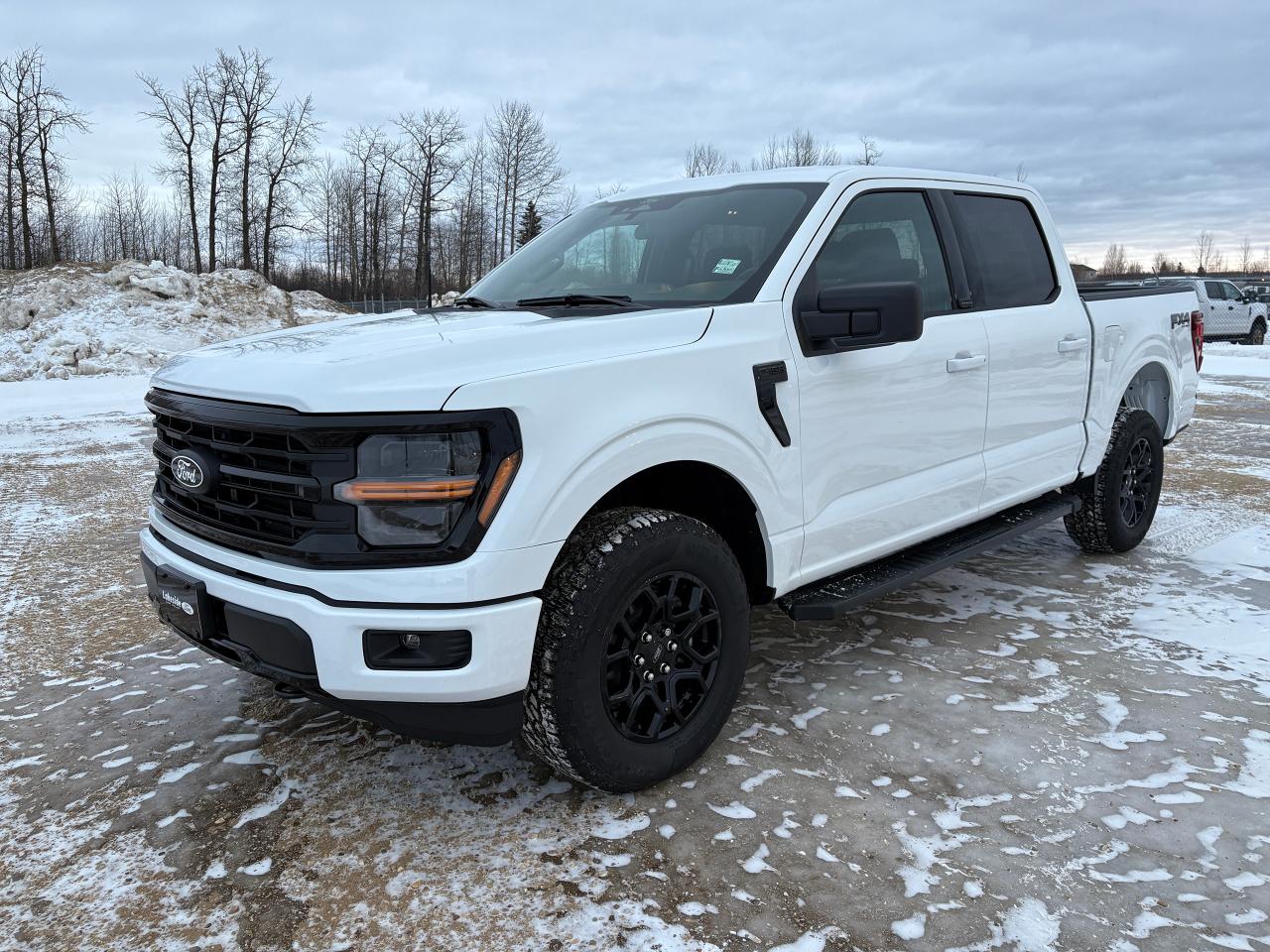 2025 Ford F-150 XLT Photo0