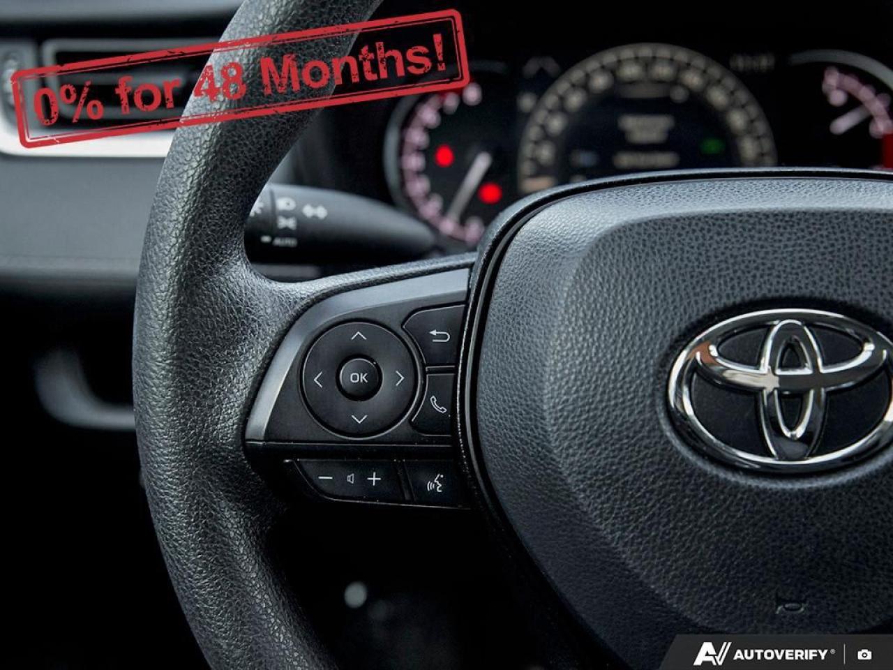 2024 Toyota RAV4 LE Photo