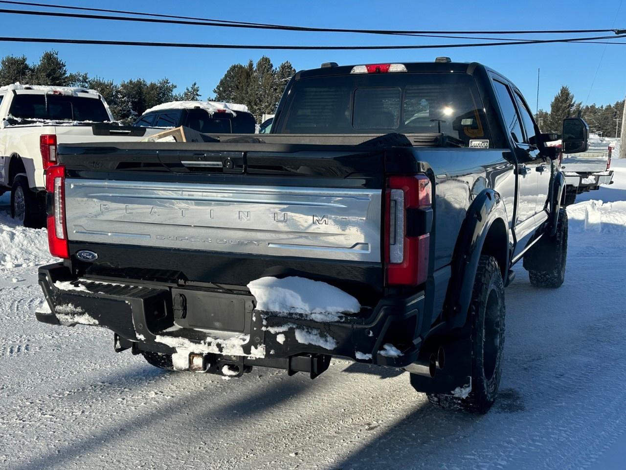 2023 Ford F-250 Super Duty SRW PLATINUM 4WD CREW CAB 6.75' BOX Photo