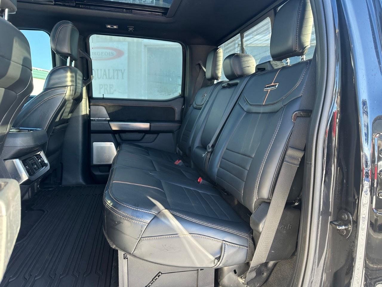 2023 Ford F-250 Super Duty SRW PLATINUM 4WD CREW CAB 6.75' BOX Photo