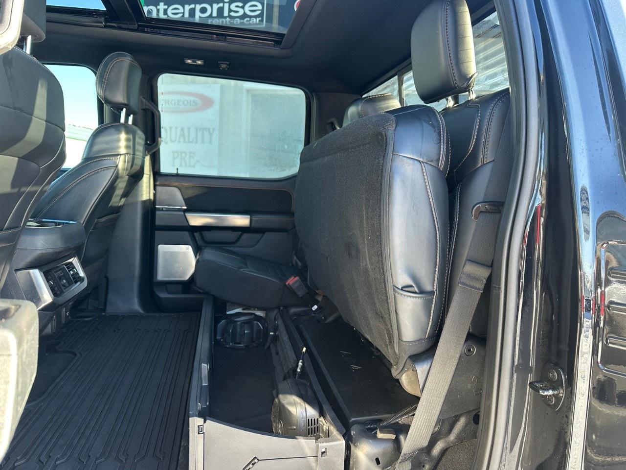 2023 Ford F-250 Super Duty SRW PLATINUM 4WD CREW CAB 6.75' BOX Photo