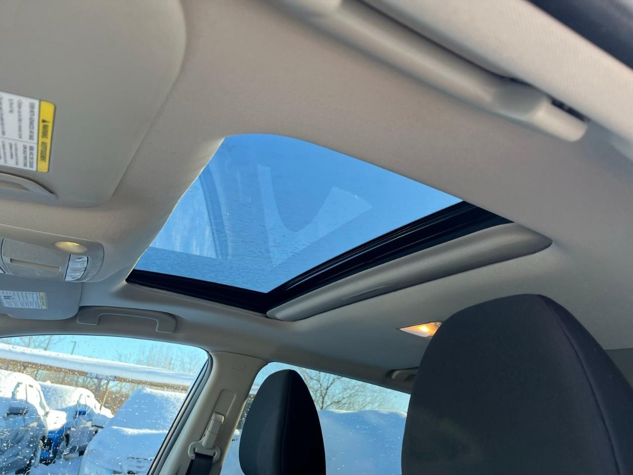 2023 Nissan Qashqai AWD SV CVT Photo