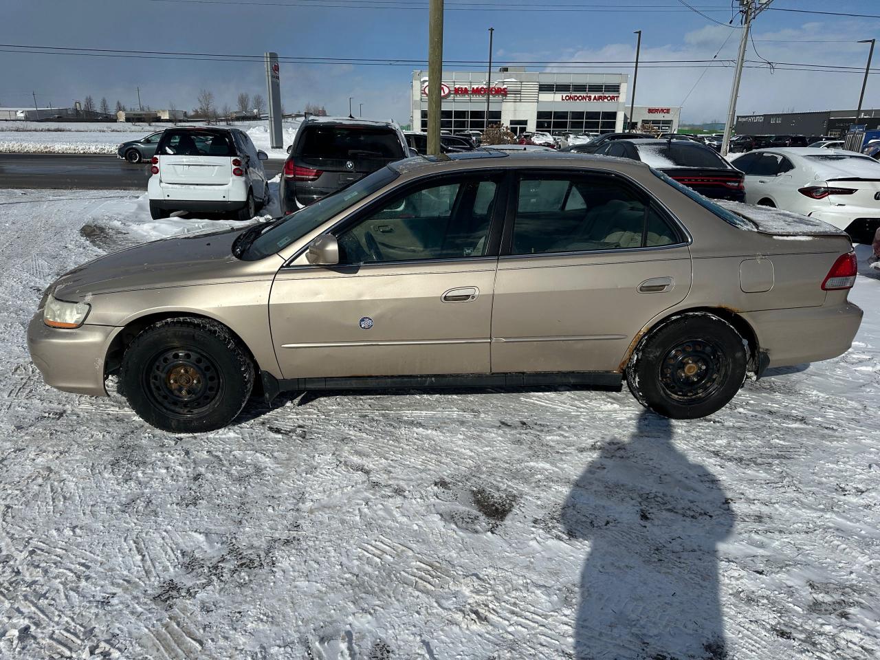 2002 Honda Accord SE, RUNS GREAT, REAR END DAMAGE, AS IS Photo