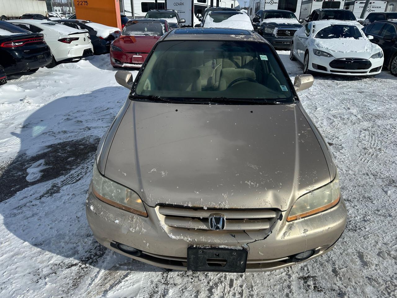 2002 Honda Accord SE, RUNS GREAT, REAR END DAMAGE, AS IS Photo