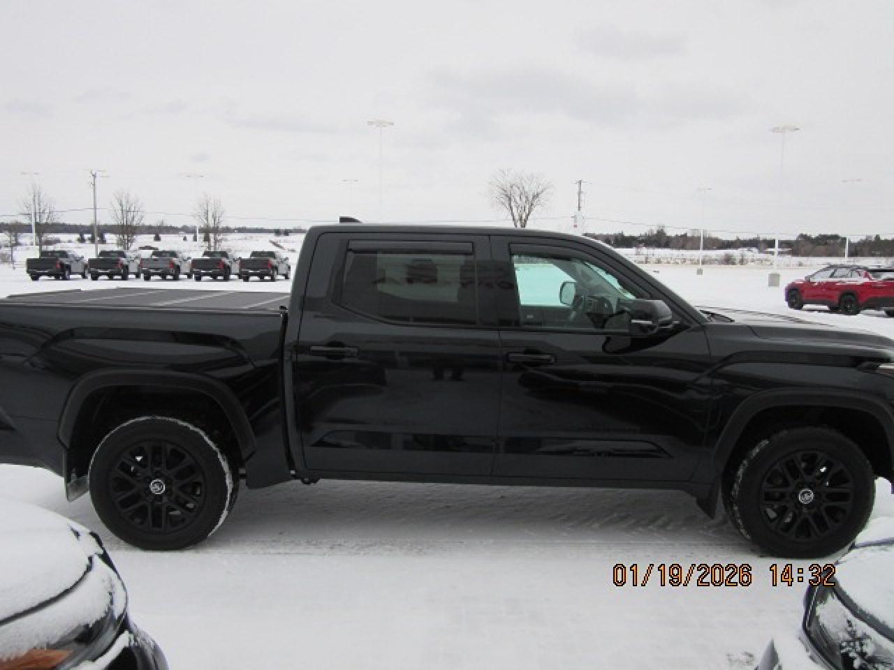 2024 Toyota Tundra Limited  Photo