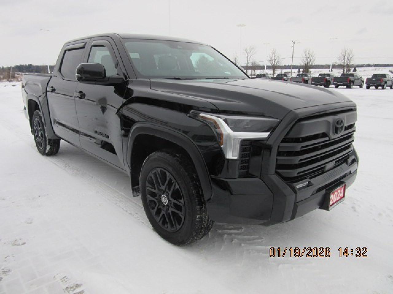 2024 Toyota Tundra Limited  Photo