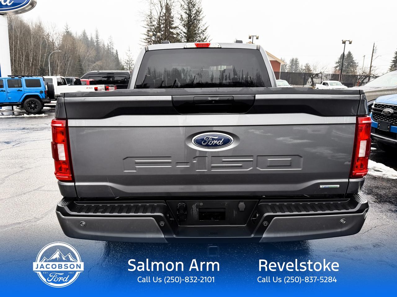 2023 Ford F-150 XLT Photo4