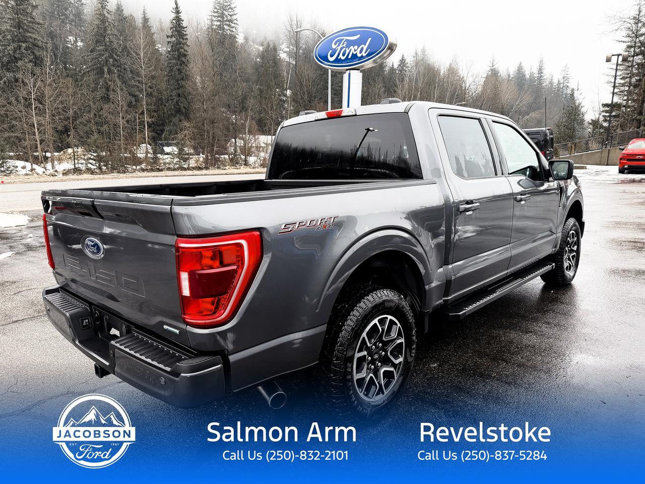 2023 Ford F-150 XLT Photo3