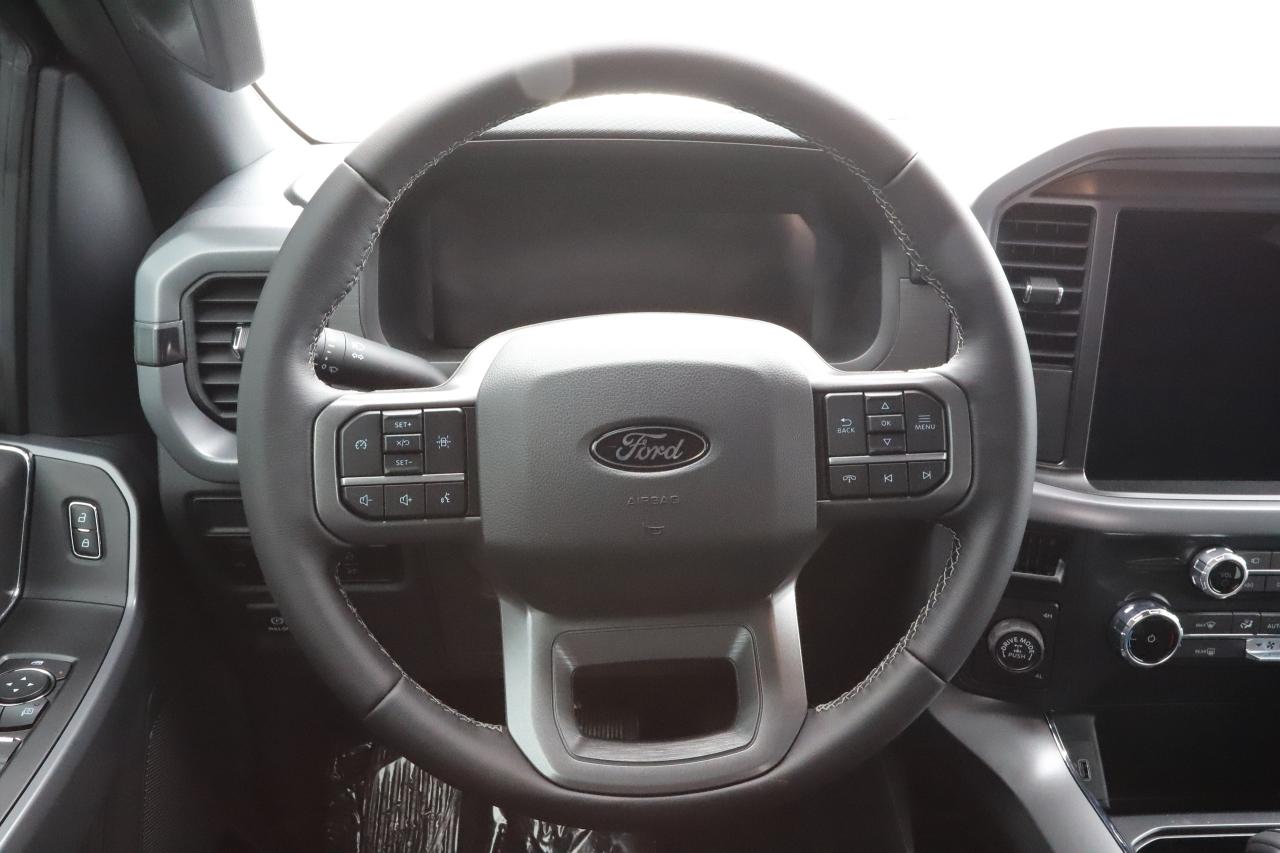 2025 Ford F-150 XLT 4WD SuperCrew 5.5' Box Photo