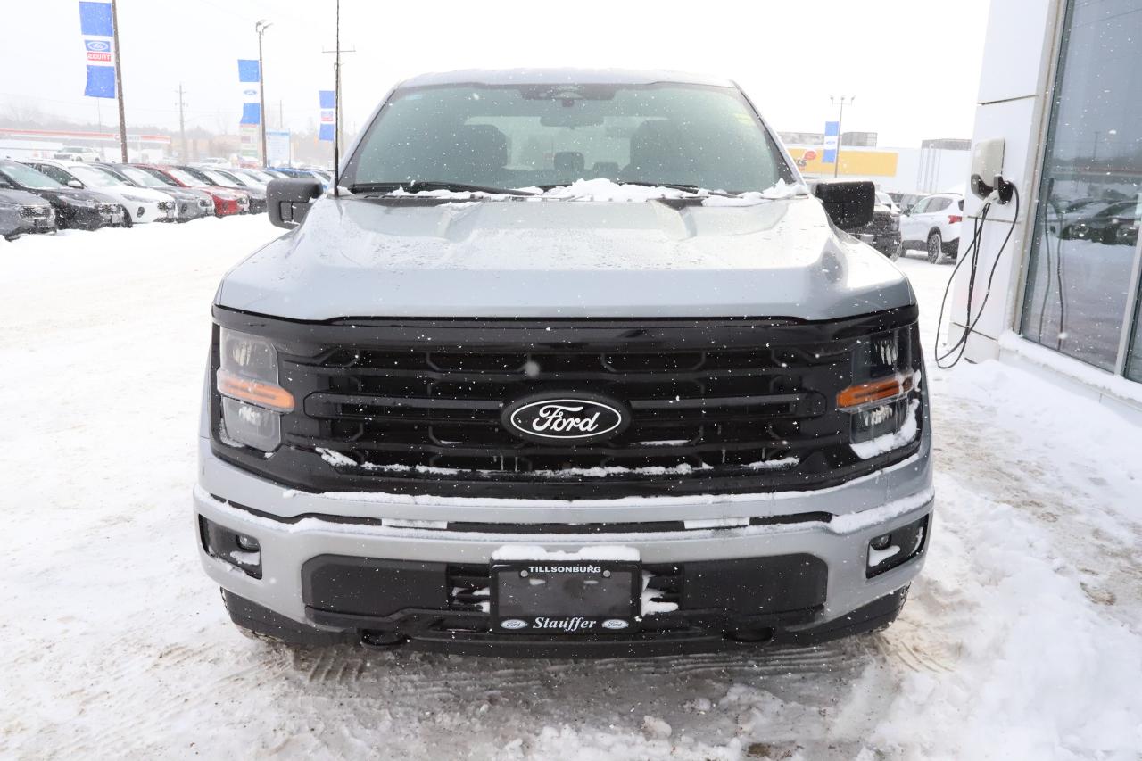 2025 Ford F-150 XLT 4WD SuperCrew 5.5' Box Photo