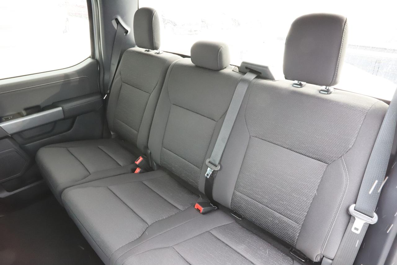 2025 Ford F-150 XLT 4WD SuperCrew 5.5' Box Photo