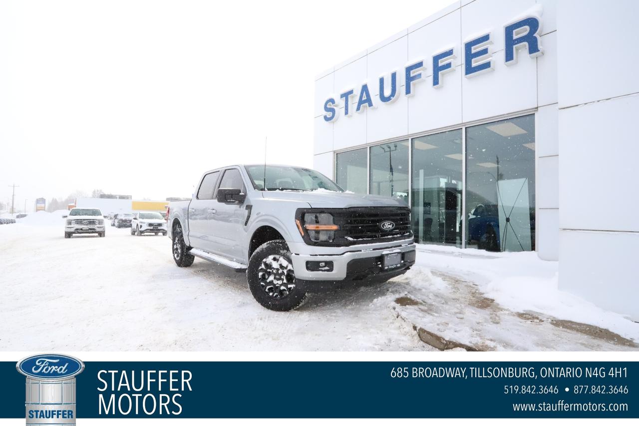 2025 Ford F-150 XLT 4WD SuperCrew 5.5' Box Photo0