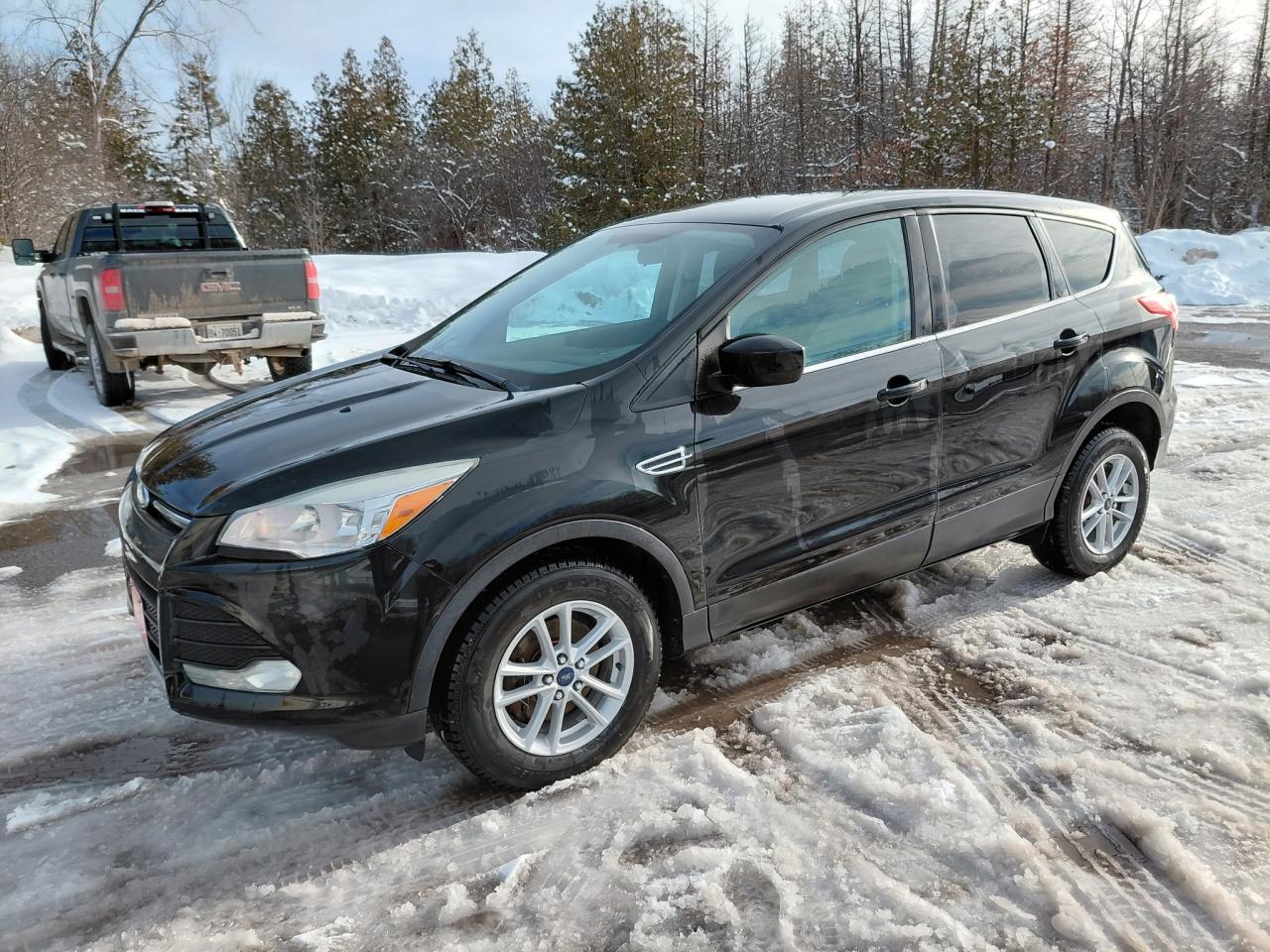 2013 Ford Escape SE Photo