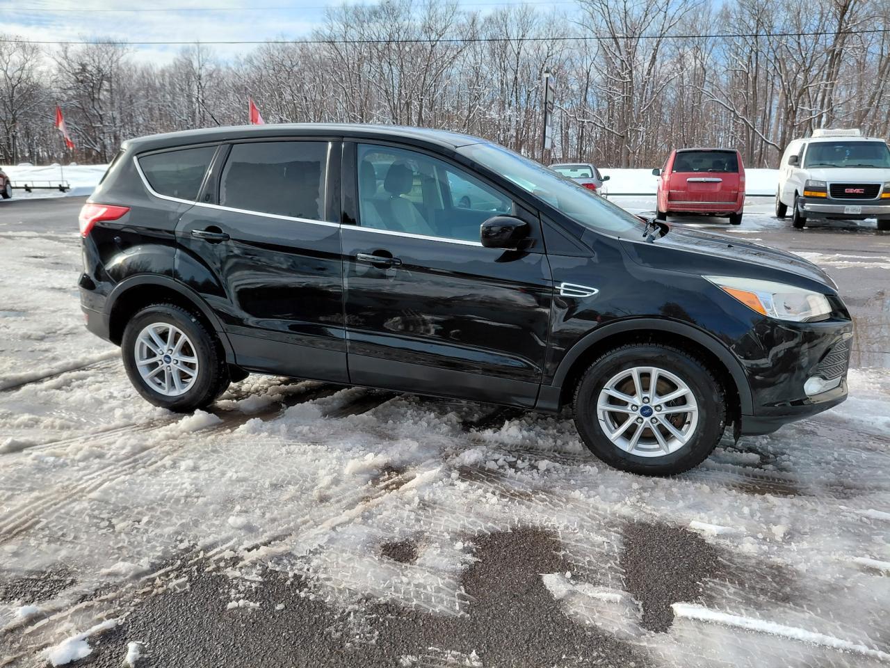 2013 Ford Escape SE Photo