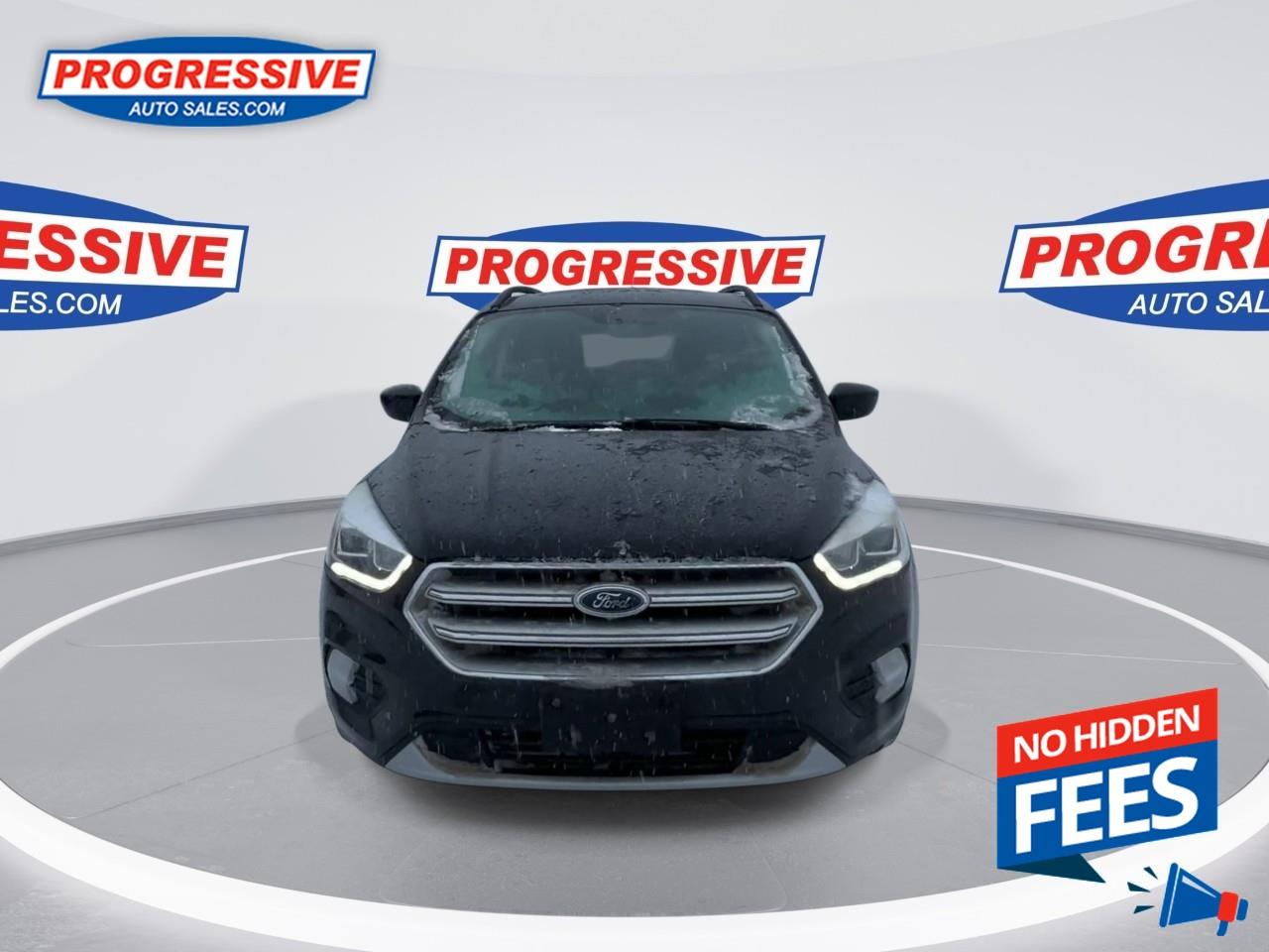 2017 Ford Escape SE Photo