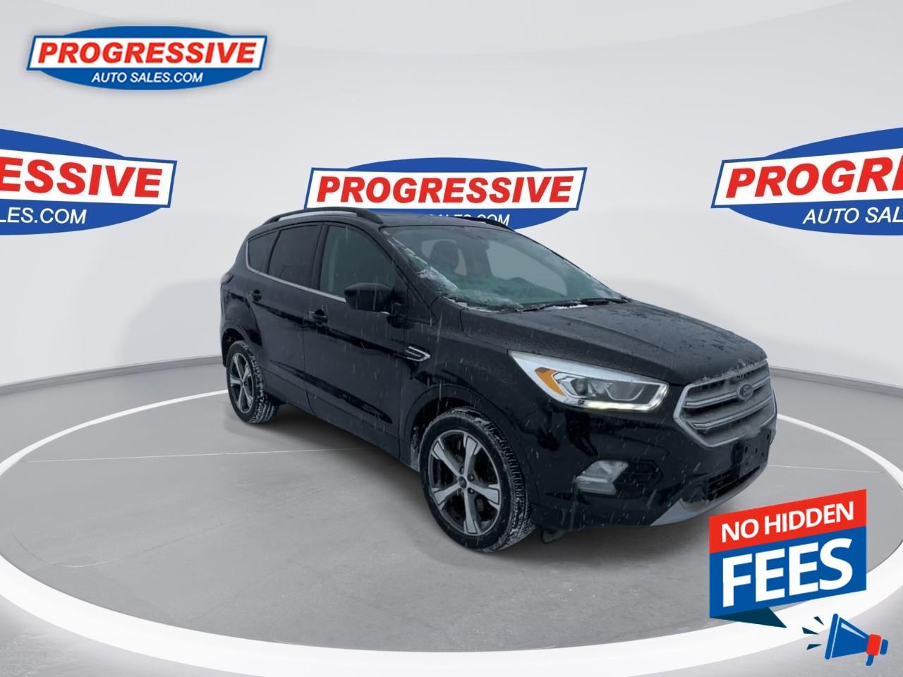 2017 Ford Escape SE Photo