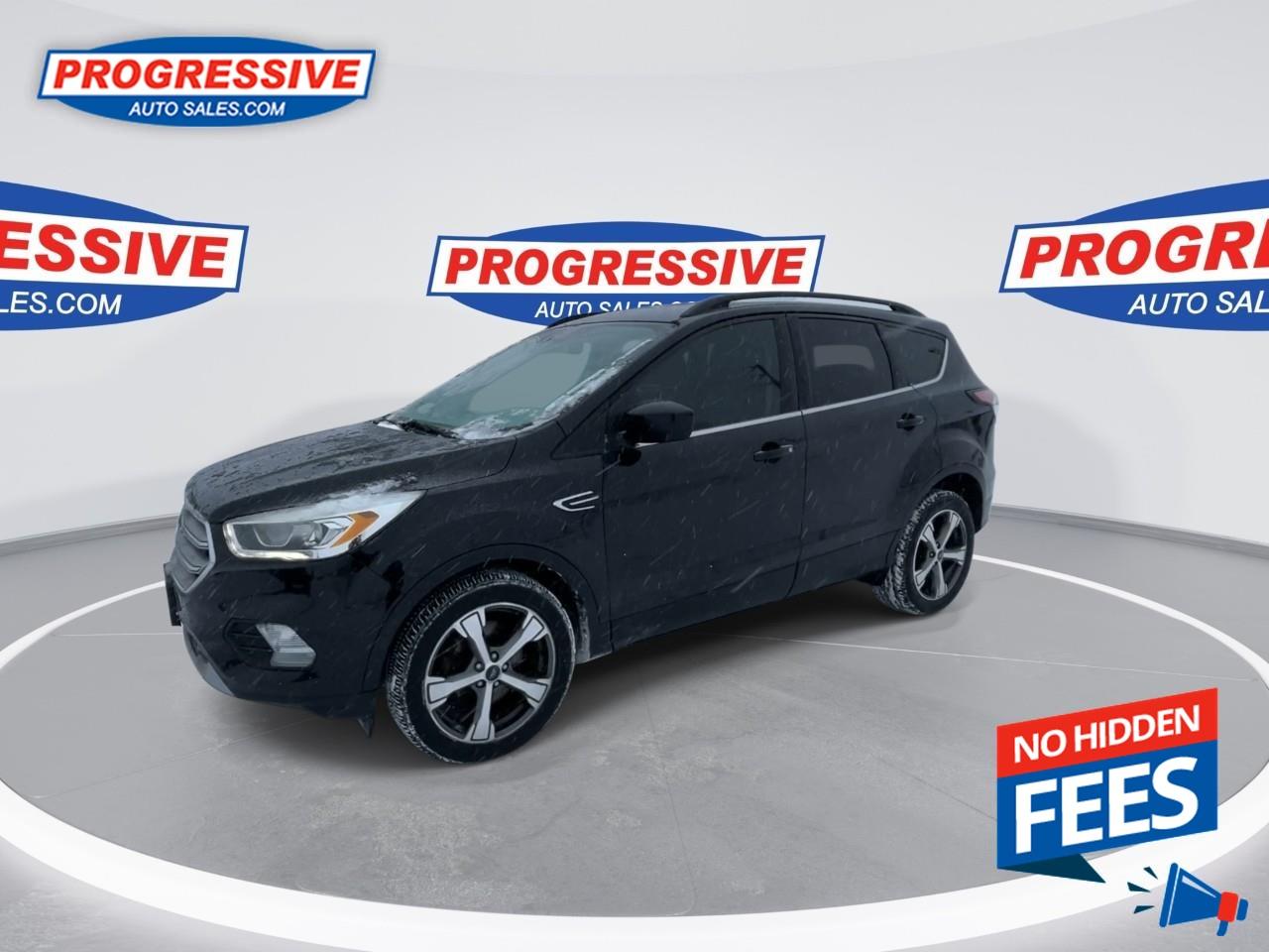 2017 Ford Escape SE Photo4